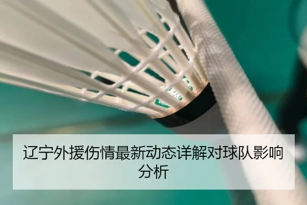 辽宁外援伤情最新动态详解对球队影响分析